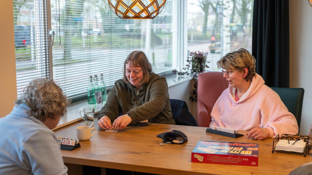 Coördinator Vrijwilligers Son