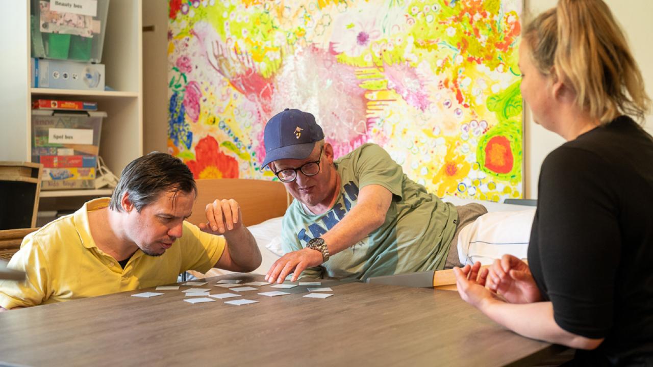 Regiebehandelaar EMB Son