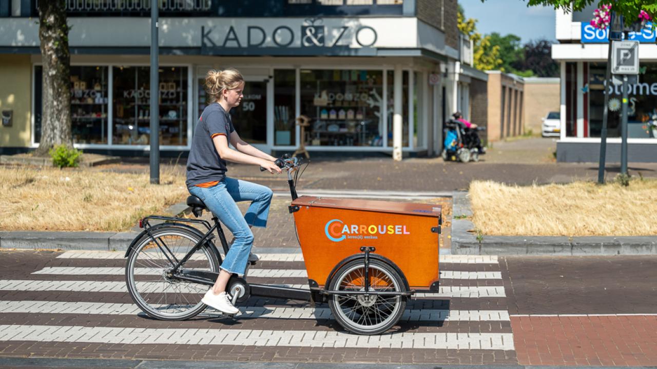 Jobcoach Carrousel – Jij laat talent groeien! Son