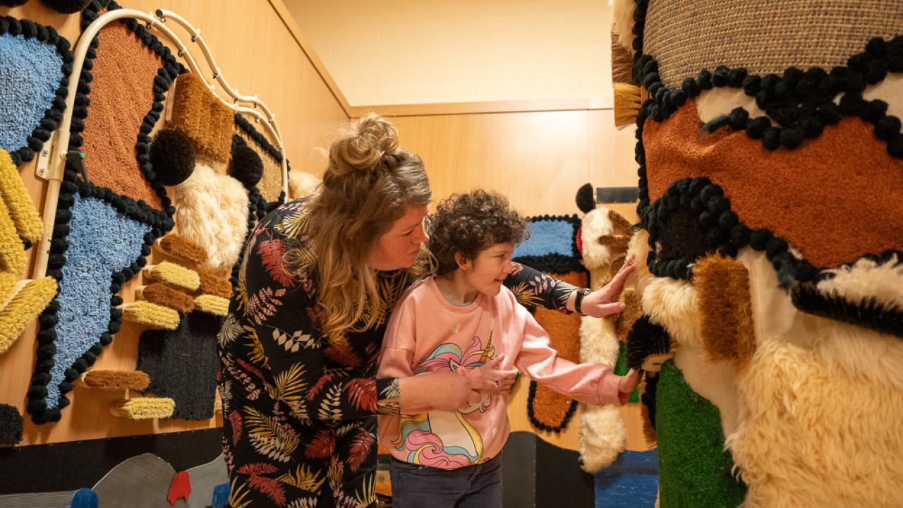 Begeleider Zorg in de Klas Son